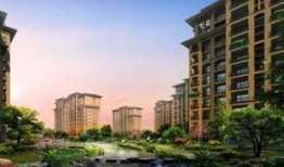 石家庄新楼爆料事件最新