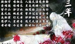 鬼叔最新爆料大全,揭秘神秘事件背后的真相